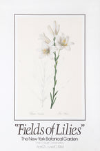 Fields of Lilies Poster | Pierre-Joseph Redoute,{{product.type}}