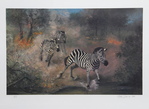 Fire on the Savannah Lithograph | Peter Darro,{{product.type}}