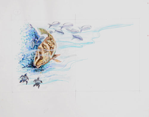 Fish (381) Watercolor | Marshall Goodman,{{product.type}}