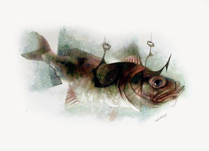 Fish Lithograph | Siegfried Gerhard Reinhardt,{{product.type}}