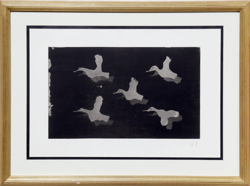 Five Seagulls in Flight Etching | Unknown Artist,{{product.type}}
