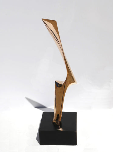 Flame Metal | Leonardo Nierman,{{product.type}}
