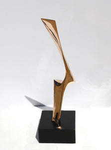Flame Metal | Leonardo Nierman,{{product.type}}