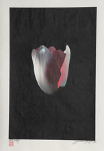 Floating Tulip Color | Jonathan Singer,{{product.type}}