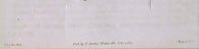 Flower Botanical Study Lithograph | J. Curtis Weddell,{{product.type}}
