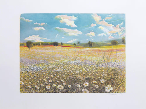 Flower Field Etching | Marco Zambrelli,{{product.type}}