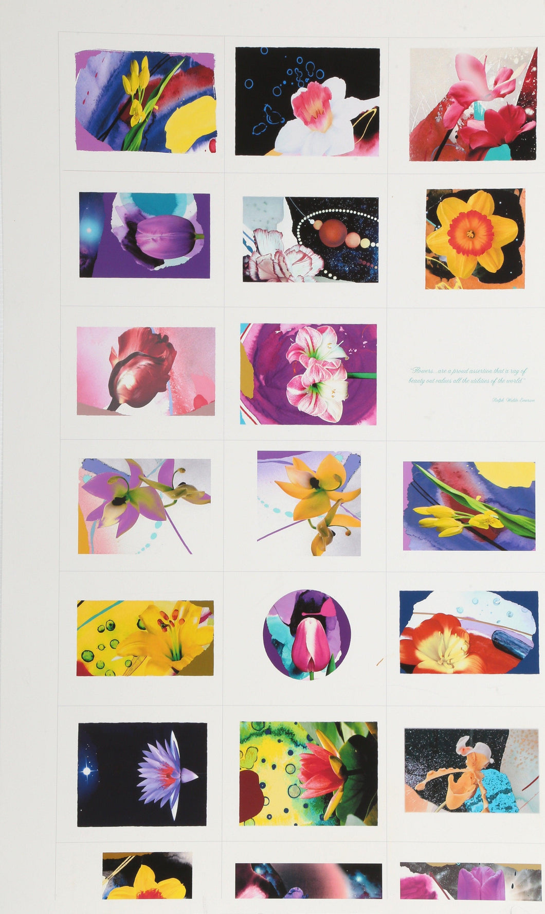 Flower Montage Digital | Michael Knigin,{{product.type}}