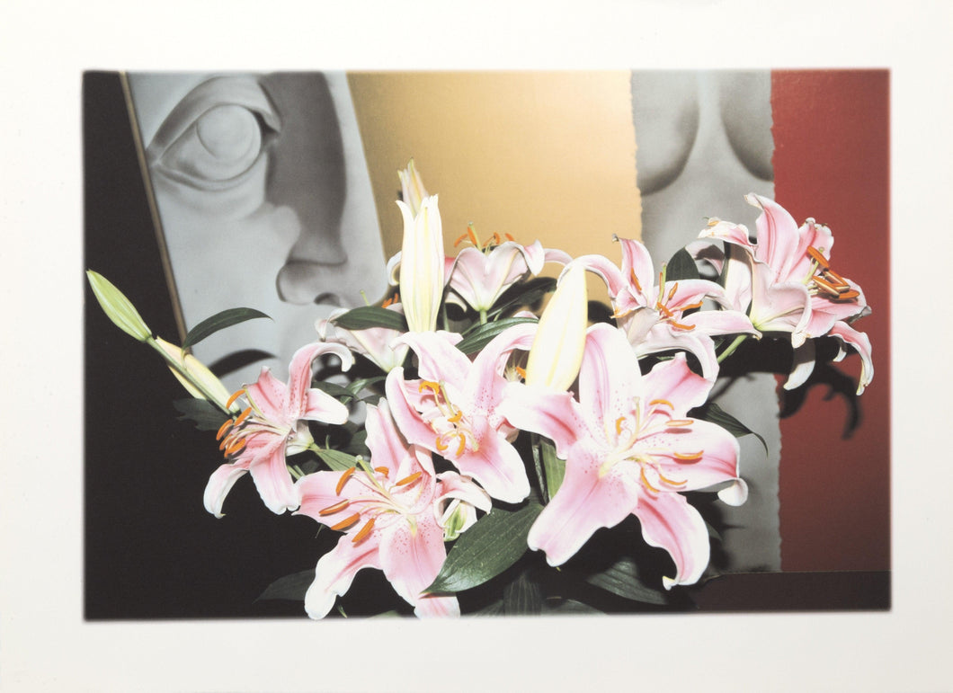 Flower Nude Digital | Michael Knigin,{{product.type}}