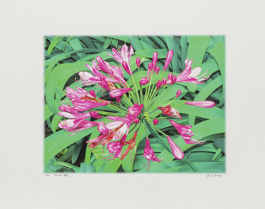 Flower XX Digital | Michael Knigin,{{product.type}}
