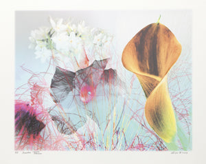 Flowers CVIII Digital | Michael Knigin,{{product.type}}