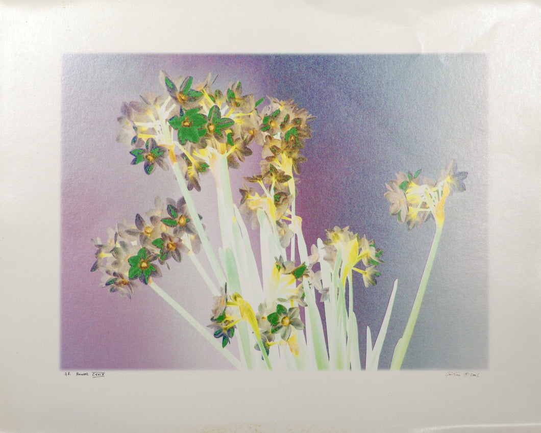 Flowers CXVIX Digital | Michael Knigin,{{product.type}}