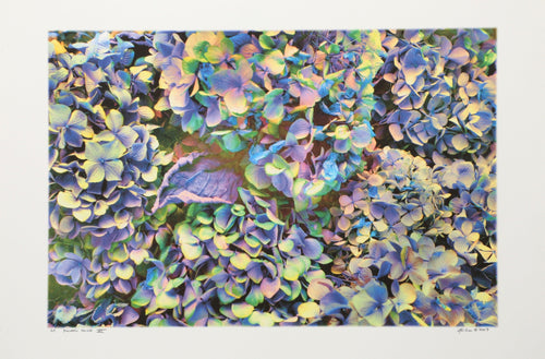 Flowers House VIII Digital | Michael Knigin,{{product.type}}