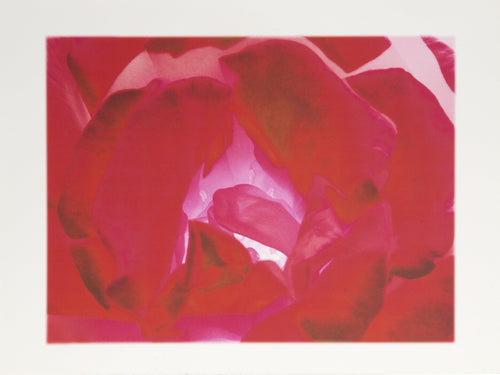 Flowers LXXXXII Digital | Michael Knigin,{{product.type}}