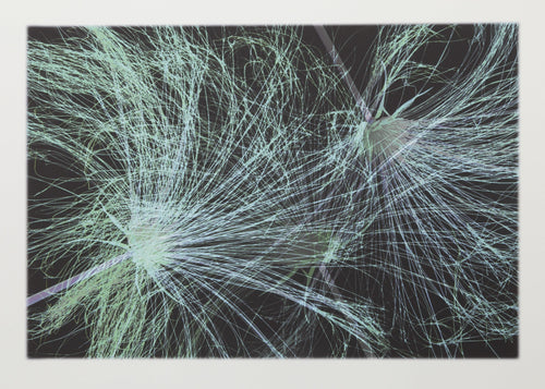 Flowers LXXXXV Digital | Michael Knigin,{{product.type}}