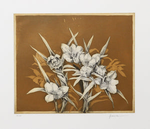Flowers on Ochre Etching | Miguel Herrera,{{product.type}}
