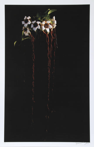 Flowers Spilling Over Black and White | Jonathan Singer,{{product.type}}