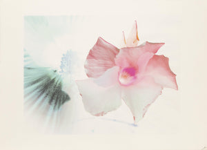 Flowers X Digital | Michael Knigin,{{product.type}}