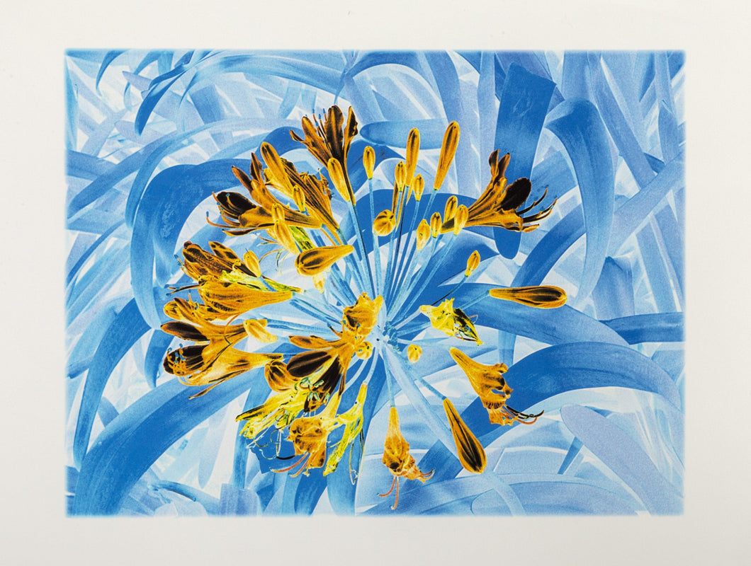 Flowers XXXXIII Digital | Michael Knigin,{{product.type}}