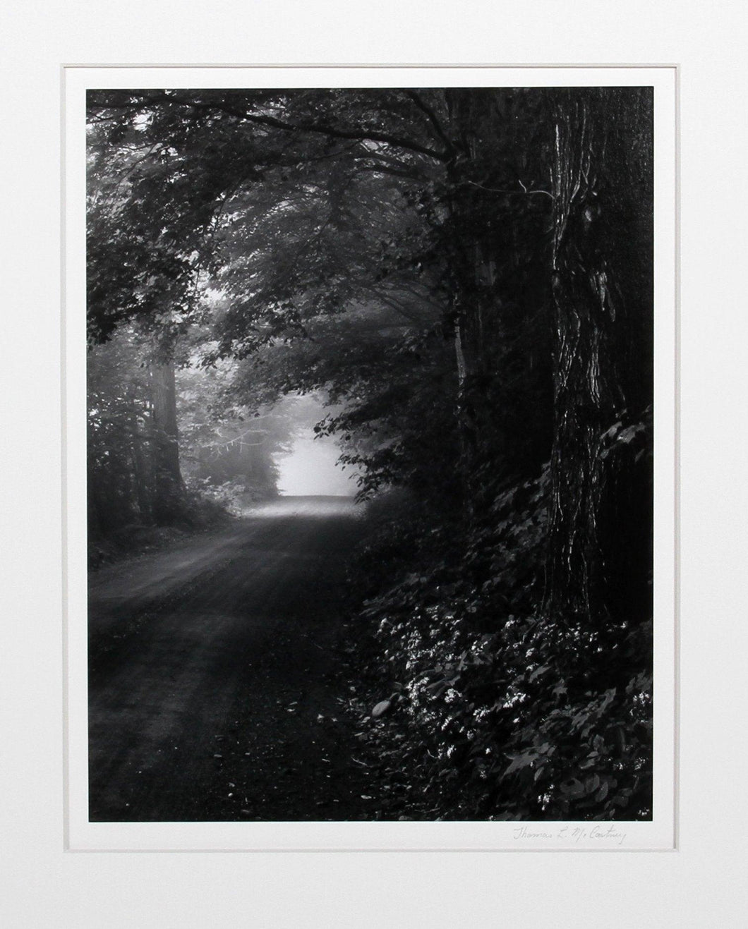 Foggy Morn, Vermont Black and White | Thomas McCartney,{{product.type}}