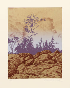 Forest Cliff (Brown) Screenprint | Ian Hornak,{{product.type}}