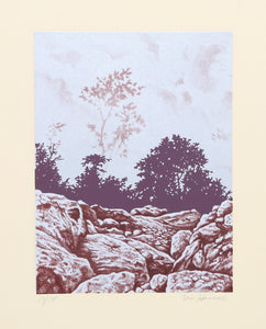 Forest Cliff (Purple) Screenprint | Ian Hornak,{{product.type}}
