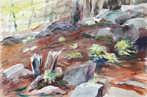 Forest Floor (P1.27) Watercolor | Eve Nethercott,{{product.type}}