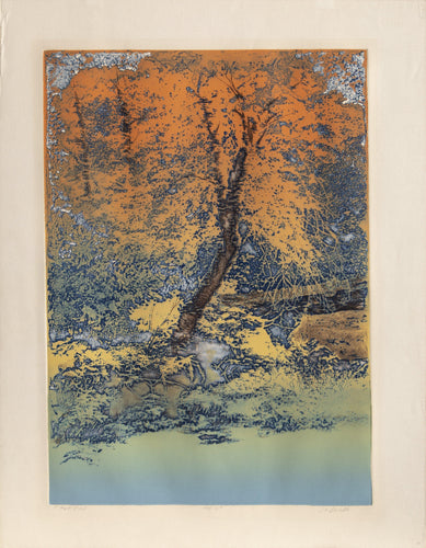 Forest Pool Etching | Jack Willis,{{product.type}}