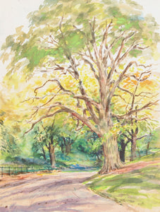 Forest Road Watercolor | Marshall Goodman,{{product.type}}