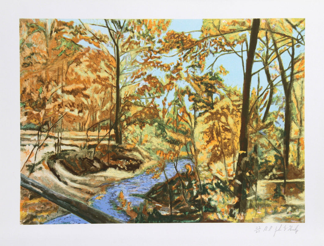 Forest Stream 7 Lithograph | John M. Healy,{{product.type}}