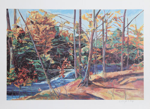 Forest Stream Lithograph | John M. Healy,{{product.type}}