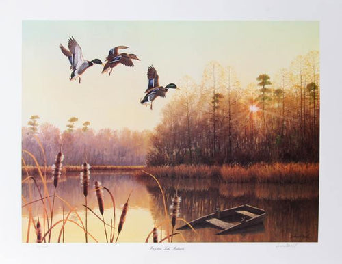 Forgotten Lake Mallards Lithograph | Durant Ball,{{product.type}}