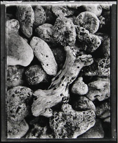 Forms 1 Black and White | Brad Starks,{{product.type}}