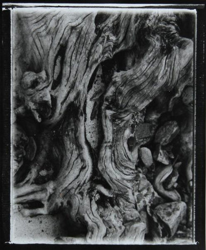 Forms 2 Black and White | Brad Starks,{{product.type}}