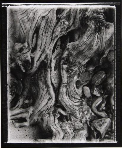 Forms 6 Black and White | Brad Starks,{{product.type}}