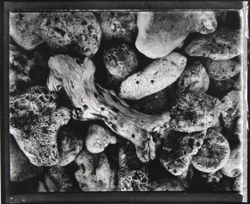 Forms 7 Black and White | Brad Starks,{{product.type}}