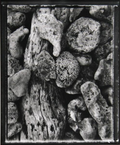 Forms 8 Black and White | Brad Starks,{{product.type}}