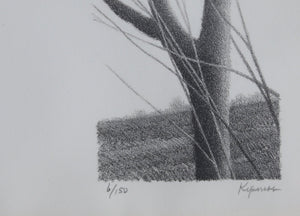 Four in One Lithograph | Robert Kipniss,{{product.type}}