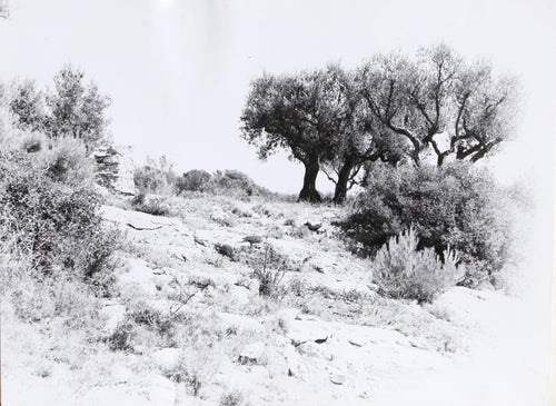 French Countryside I Black and White | Unknown Artist,{{product.type}}