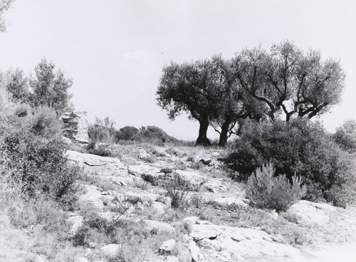 French Countryside II Black and White | Unknown Artist,{{product.type}}