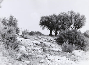 French Countryside II Black and White | Unknown Artist,{{product.type}}