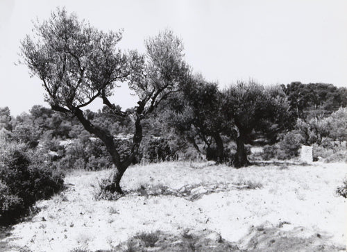 French Countryside III Black and White | Unknown Artist,{{product.type}}