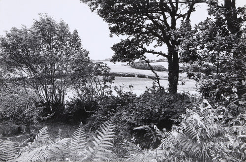 French Countryside IV Black and White | Unknown Artist,{{product.type}}
