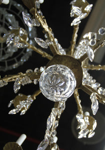 French Crystal Chandelier Lighting | Antiques,{{product.type}}