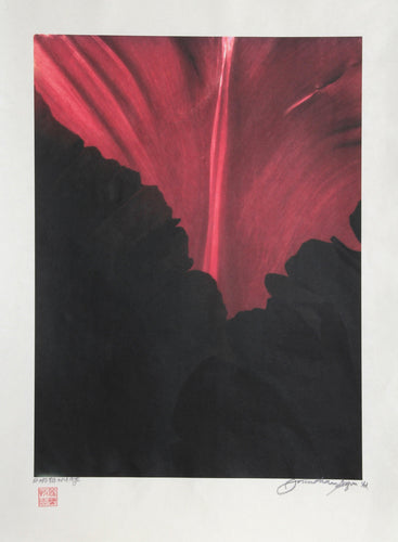 Fuschia Silhouette Color | Jonathan Singer,{{product.type}}