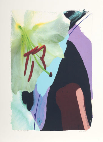 Gallant Rogue III Digital | Michael Knigin,{{product.type}}