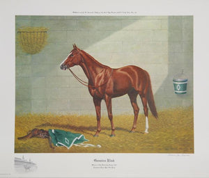 Genuine Risk Lithograph | Richard Stone Reeves,{{product.type}}