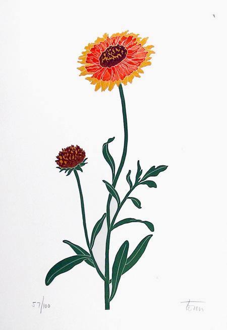 Gerbera Daisy Etching | Torres,{{product.type}}