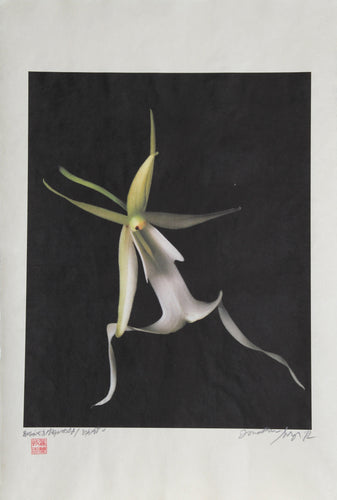 Ghost Color | Jonathan Singer,{{product.type}}