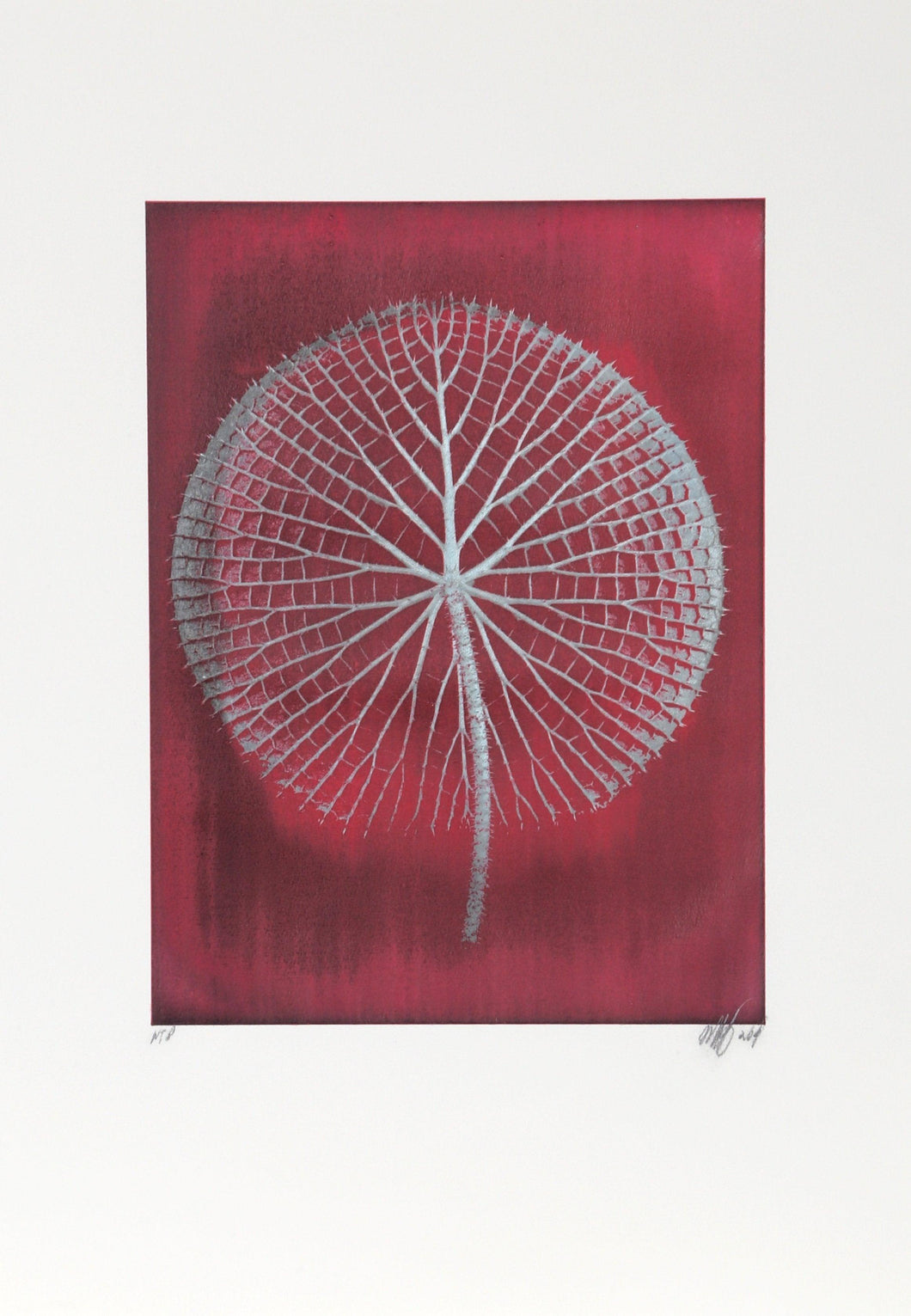 Giant Amazon Water Lily on Red Color | Jonathan Singer,{{product.type}}