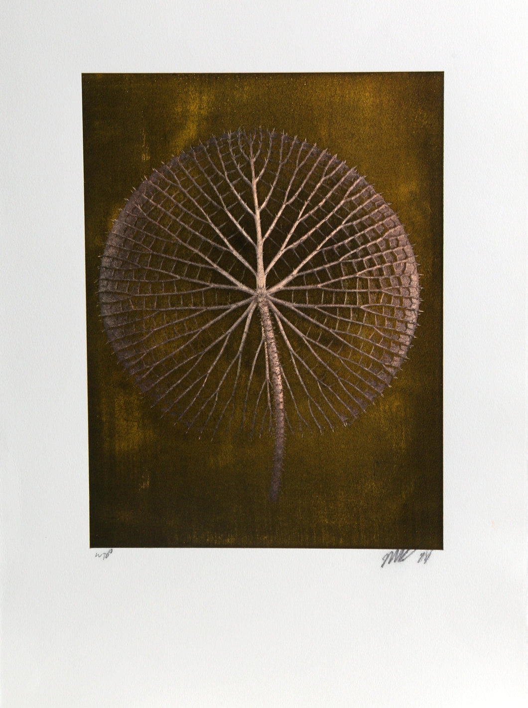 Giant Gold Amazon Waterlily on Gold Color | Jonathan Singer,{{product.type}}